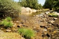 Crystal clear and clean river Eresma flowing between river stones with trees on the banks and river plants