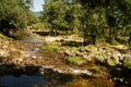 Crystal clear and clean river Eresma flowing between river stones and with trees on the banks Royalty Free Stock Photo