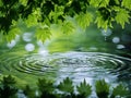 Crystal-Clear Green Water Reflection Royalty Free Stock Photo
