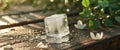 Crystal Clear Ice Cube Melting in Warm Natural Setting. Royalty Free Stock Photo