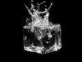 Crystal clear ice cube Royalty Free Stock Photo