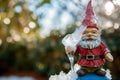 crystal clear icicle melting over a garden gnome