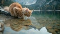 a crystal-clear lake surrounded by majestic mountains, a fluffy long-haired cat observes its reflection in the pristine water