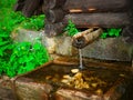 Crystal clear mountain spring water