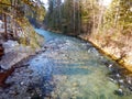 Crystal clear river stream in mountain forest Royalty Free Stock Photo