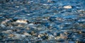 Crystal clear river water over pebbles Royalty Free Stock Photo