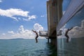 Boy jumped from bridge to water. summer fun in hot weather. jump in water.