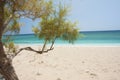 Crystal clear turquoise waters of Agia Kiriaki beach at Milos island in Greece