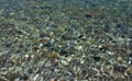 Crystal clear water Royalty Free Stock Photo