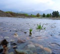 Crystal clear water drops falling from the clouds on water surface in the rainy season and landscape view in the background Royalty Free Stock Photo