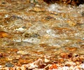 Crystal clear water flowing over, rocks in the fresh water stream. Royalty Free Stock Photo