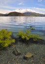 Crystal Clear Water, Lake Wanaka New Zealand Royalty Free Stock Photo