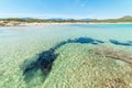 Crystal clear water in Scoglio di Peppino beach