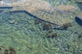 a crystal clear water in the sea