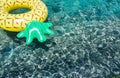 Crystal clear water in the sea lagoon with bright inflatable pin Royalty Free Stock Photo