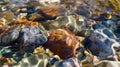 Crystal clear water of small brook in Altai steppe