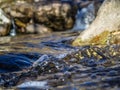 Crystal clear water, small mountain creek Royalty Free Stock Photo