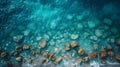 Crystal Clear Waters: A Metaphor for Secure & Transparent Data Exchange. Concept Data Security,