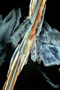 Polarized Light makes Crystals gleam Royalty Free Stock Photo