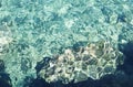 Crystal emerald water background. Clear crystal sea in Blue Lagoon, Comino, Malta Royalty Free Stock Photo