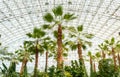 Crystal Garden at the Navy Pier in Chicago, USA Royalty Free Stock Photo