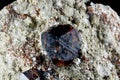 Crystal of garnet Royalty Free Stock Photo