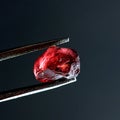 Crystal of garnet, type almandine Royalty Free Stock Photo