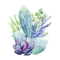 Crystal gems with succulents, full color art
