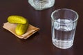 Crystal glass, bottle and pickled cucumber on dark background Royalty Free Stock Photo