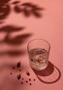 Crystal glass with gin and tonic garnished with rose buds and red peppercorns on a pastel pink background.