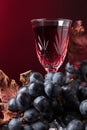 Crystal glass of red wine and grapes with dried vine leaves Royalty Free Stock Photo