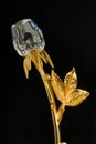 Crystal Glass Rose Flower 24k Gold Plated Long Stem on Black Background studio shot Kalyan