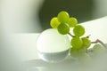 Crystal glass transparent sphere and grapes