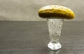 A crystal glass with vodka and a pickled cucumber placed. Royalty Free Stock Photo