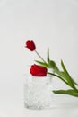 crystal glass of water near red Royalty Free Stock Photo