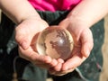 Crystal globe in children`s palms Royalty Free Stock Photo
