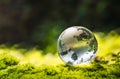 crystal globe glass resting on moss stone with sunshine in nature forset. eco  environment concept Royalty Free Stock Photo