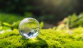crystal globe glass resting on moss stone with sunshine in nature forset. eco  environment concept Royalty Free Stock Photo