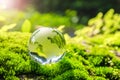 crystal globe glass resting on moss stone with sunshine in nature forset. eco  environment concept Royalty Free Stock Photo