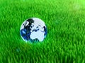 Crystal globe on grass Royalty Free Stock Photo