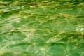 Crystal green water-texture Royalty Free Stock Photo