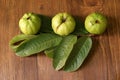 Crystal Guava fruit with leaves isolated on the wooden background Royalty Free Stock Photo