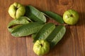 Crystal Guava fruit with leaves isolated on the wooden background Royalty Free Stock Photo