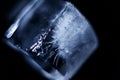 Crystal ice cubes reflection on black background. Extreme close up natural ice block on dark backdrop. Macro. Royalty Free Stock Photo