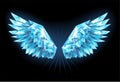 Crystal ice wings Royalty Free Stock Photo