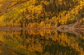 Crystal Lake Wide View in Colorado Yellow Aspen Royalty Free Stock Photo