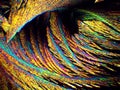 Crystal layer on microscope object glass, seen in polarized light.