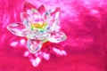 Crystal lotus on red table with light reflection. Muladhara chakra symbol