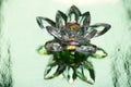 Crystal lotus on shiny green background with light reflection. Anahata chakra symbol