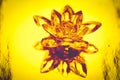 Crystal lotus on shiny yellow background with light reflection. Manipura chakra symbol Royalty Free Stock Photo